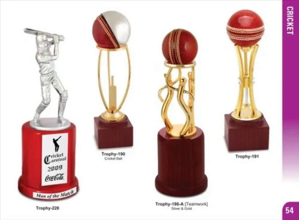 discover our exclusive collection of unique test cricket trophies, designed to celebrate the spirit of the game. perfect for awards, presentations, or as a cherished keepsake for cricket enthusiasts.